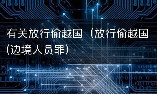 有关放行偷越国（放行偷越国(边境人员罪）