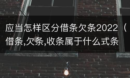 应当怎样区分借条欠条2022（借条,欠条,收条属于什么式条据）