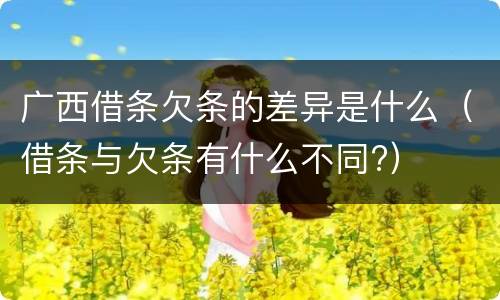 广西借条欠条的差异是什么（借条与欠条有什么不同?）