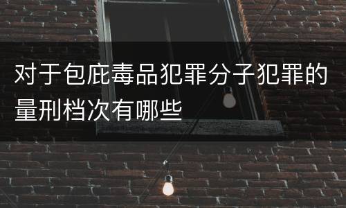 对于包庇毒品犯罪分子犯罪的量刑档次有哪些