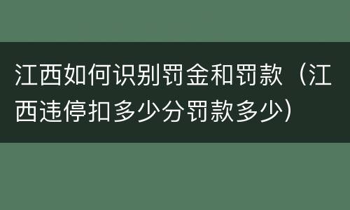 江西如何识别罚金和罚款（江西违停扣多少分罚款多少）