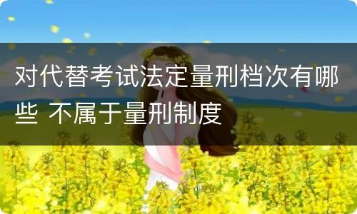 对代替考试法定量刑档次有哪些 不属于量刑制度