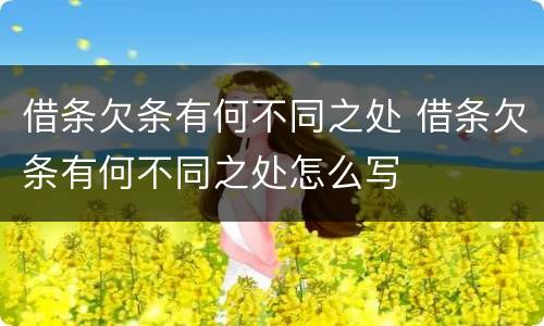 借条欠条有何不同之处 借条欠条有何不同之处怎么写