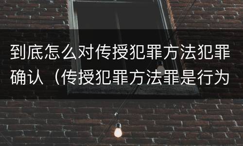 到底怎么对传授犯罪方法犯罪确认（传授犯罪方法罪是行为犯吗）