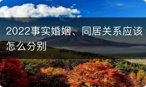 2022事实婚姻、同居关系应该怎么分别
