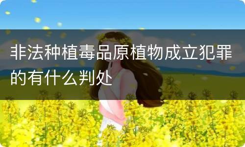 非法种植毒品原植物成立犯罪的有什么判处