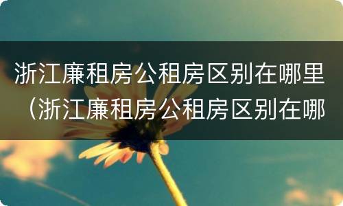 浙江廉租房公租房区别在哪里（浙江廉租房公租房区别在哪里啊）