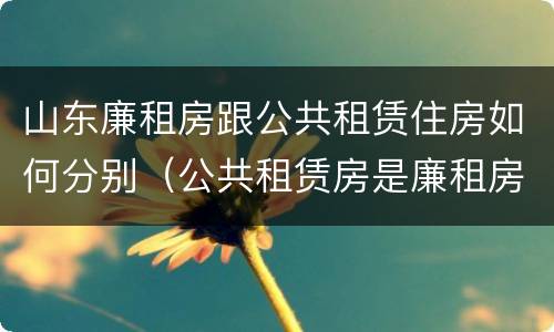 山东廉租房跟公共租赁住房如何分别（公共租赁房是廉租房吗）