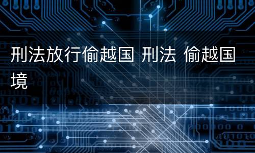 刑法放行偷越国 刑法 偷越国境