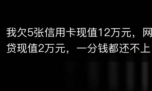 我欠5张信用卡现值12万元，网贷现值2万元，一分钱都还不上了，会判多少年