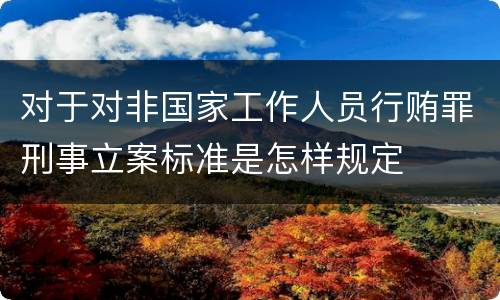 对于对非国家工作人员行贿罪刑事立案标准是怎样规定