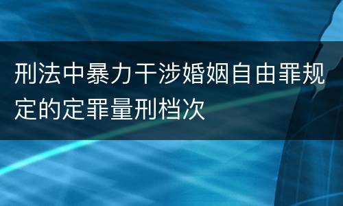 刑法中暴力干涉婚姻自由罪规定的定罪量刑档次