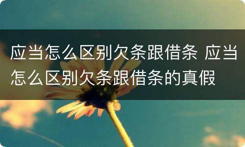 应当怎么区别欠条跟借条 应当怎么区别欠条跟借条的真假