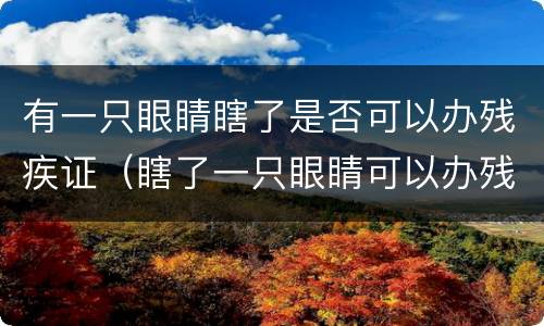 有一只眼睛瞎了是否可以办残疾证（瞎了一只眼睛可以办残疾证吗）