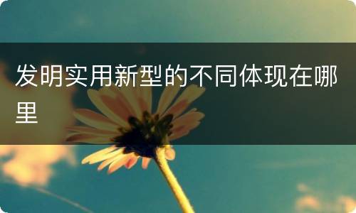 发明实用新型的不同体现在哪里
