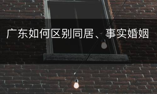 广东如何区别同居、事实婚姻