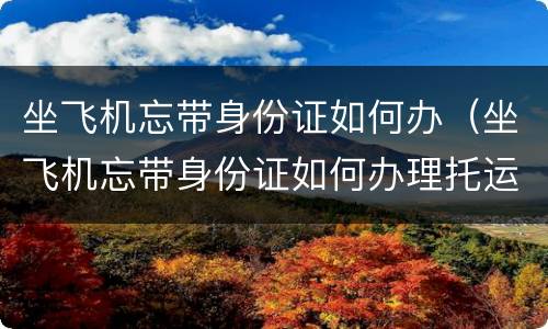 坐飞机忘带身份证如何办（坐飞机忘带身份证如何办理托运）