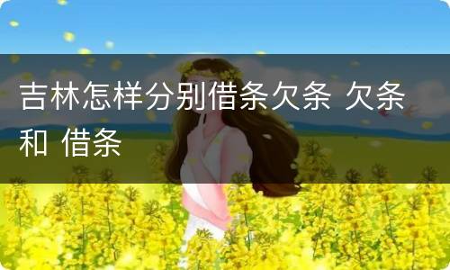 吉林怎样分别借条欠条 欠条 和 借条
