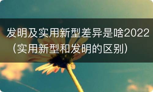 发明及实用新型差异是啥2022（实用新型和发明的区别）