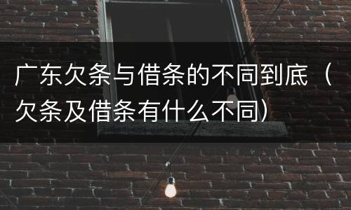 广东欠条与借条的不同到底（欠条及借条有什么不同）
