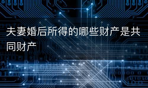 夫妻婚后所得的哪些财产是共同财产