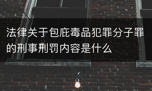 法律关于包庇毒品犯罪分子罪的刑事刑罚内容是什么