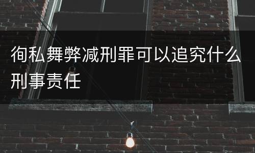 徇私舞弊减刑罪可以追究什么刑事责任