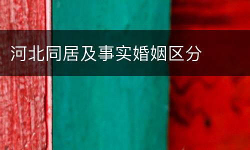 河北同居及事实婚姻区分