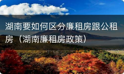 湖南要如何区分廉租房跟公租房（湖南廉租房政策）