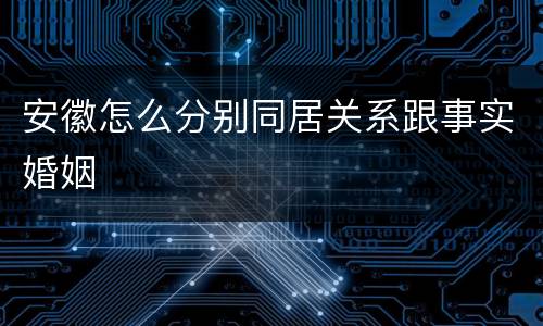 安徽怎么分别同居关系跟事实婚姻