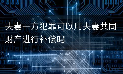 夫妻一方犯罪可以用夫妻共同财产进行补偿吗