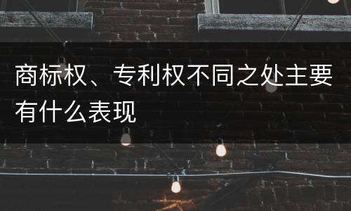 商标权、专利权不同之处主要有什么表现