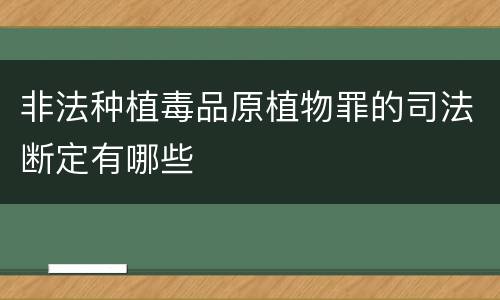 非法种植毒品原植物罪的司法断定有哪些