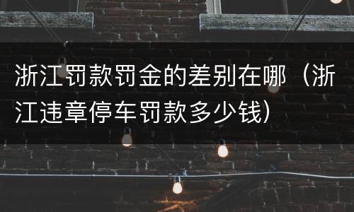 浙江罚款罚金的差别在哪（浙江违章停车罚款多少钱）