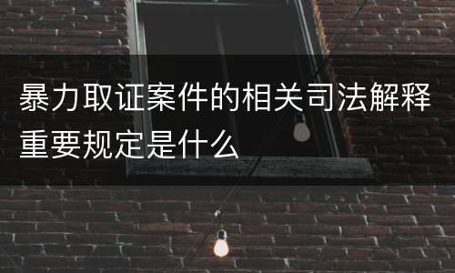 暴力取证案件的相关司法解释重要规定是什么