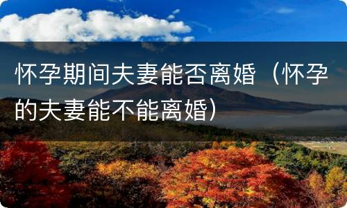 怀孕期间夫妻能否离婚（怀孕的夫妻能不能离婚）