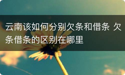 云南该如何分别欠条和借条 欠条借条的区别在哪里