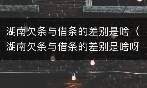 湖南欠条与借条的差别是啥（湖南欠条与借条的差别是啥呀）