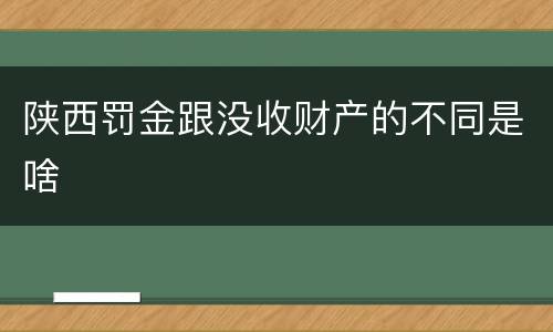 陕西罚金跟没收财产的不同是啥