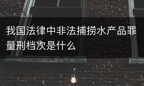 我国法律中非法捕捞水产品罪量刑档次是什么