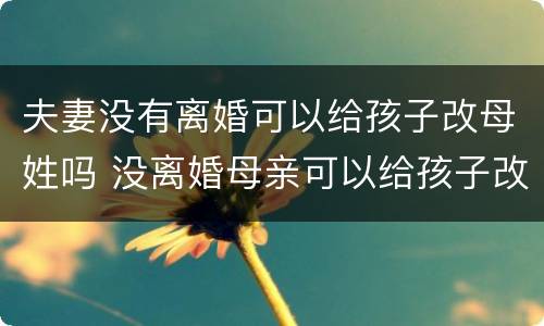 夫妻没有离婚可以给孩子改母姓吗 没离婚母亲可以给孩子改姓吗