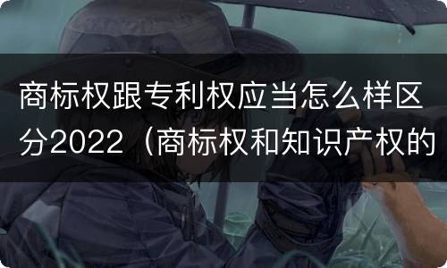 商标权跟专利权应当怎么样区分2022（商标权和知识产权的区别）