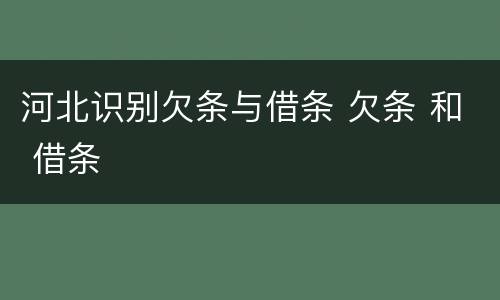 河北识别欠条与借条 欠条 和 借条