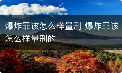 爆炸罪该怎么样量刑 爆炸罪该怎么样量刑的