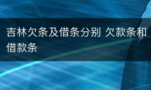 吉林欠条及借条分别 欠款条和借款条