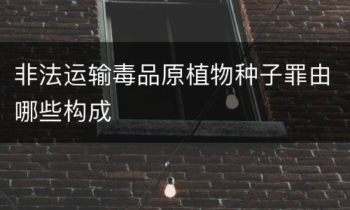 非法运输毒品原植物种子罪由哪些构成