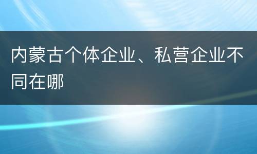 内蒙古个体企业、私营企业不同在哪