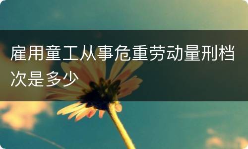 雇用童工从事危重劳动量刑档次是多少