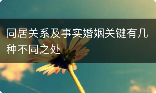 同居关系及事实婚姻关键有几种不同之处