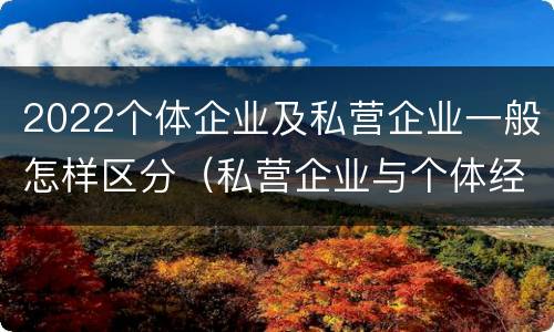 2022个体企业及私营企业一般怎样区分（私营企业与个体经营企业的区别）